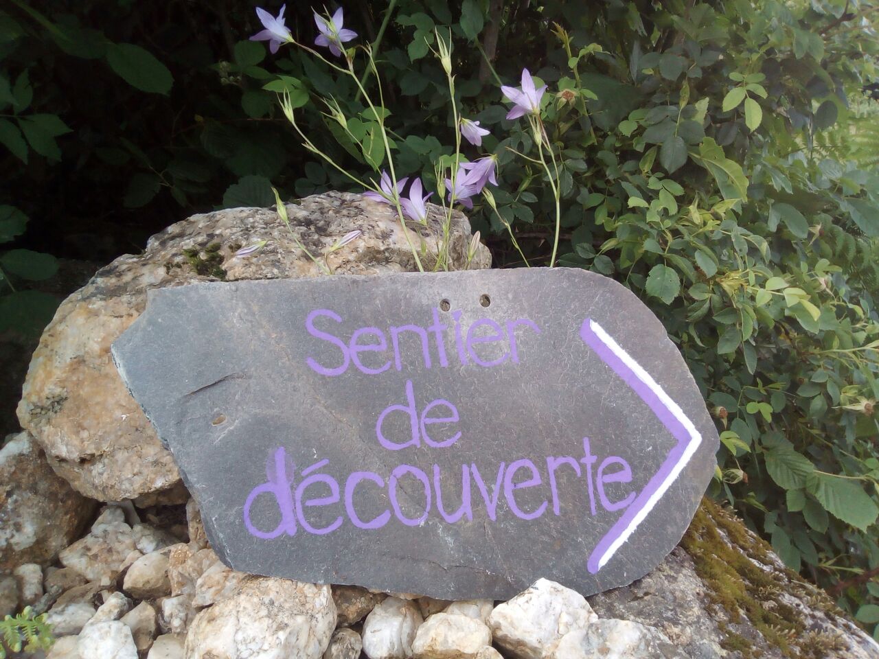 Un sentier de découverte