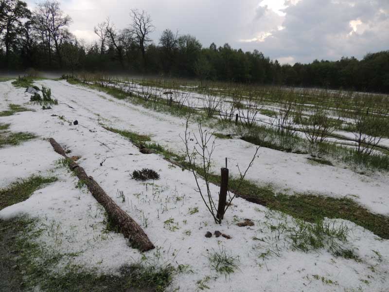 Hagelunwetter