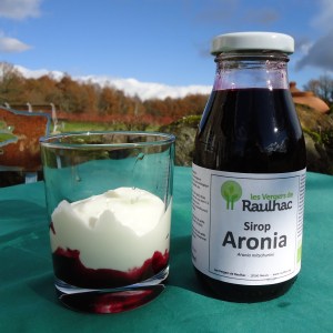 Sirop_Aronia